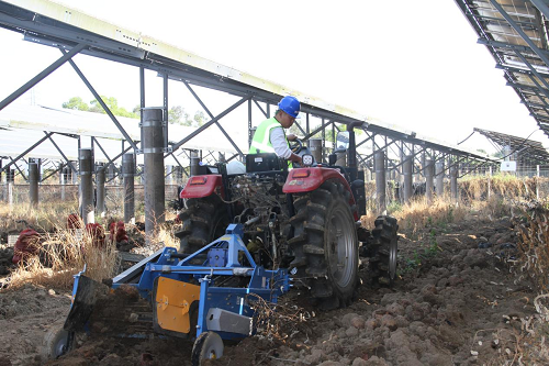 c0d04add30b7fa2504f1036e3e5acbf4.png 揭陽農(nóng)墾舉辦魔芋產(chǎn)業(yè)推進會4.png